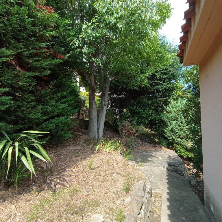 6AMB38 Superbe Villa avec terrasses dans résidence avec piscine commune - Villa Supérieure - 25