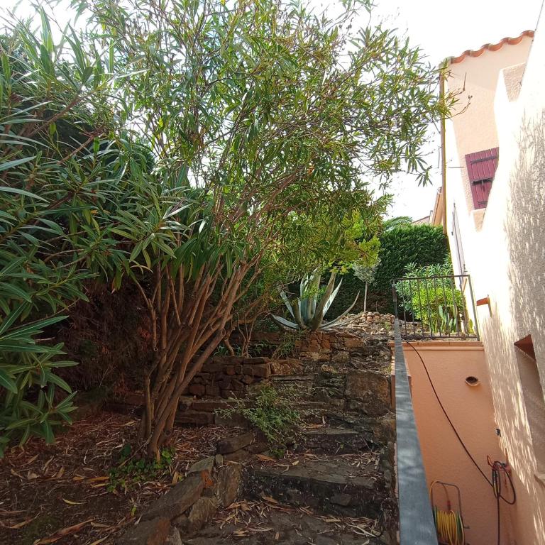 6AMB38 Superbe Villa avec terrasses dans résidence avec piscine commune - Villa Supérieure - 24