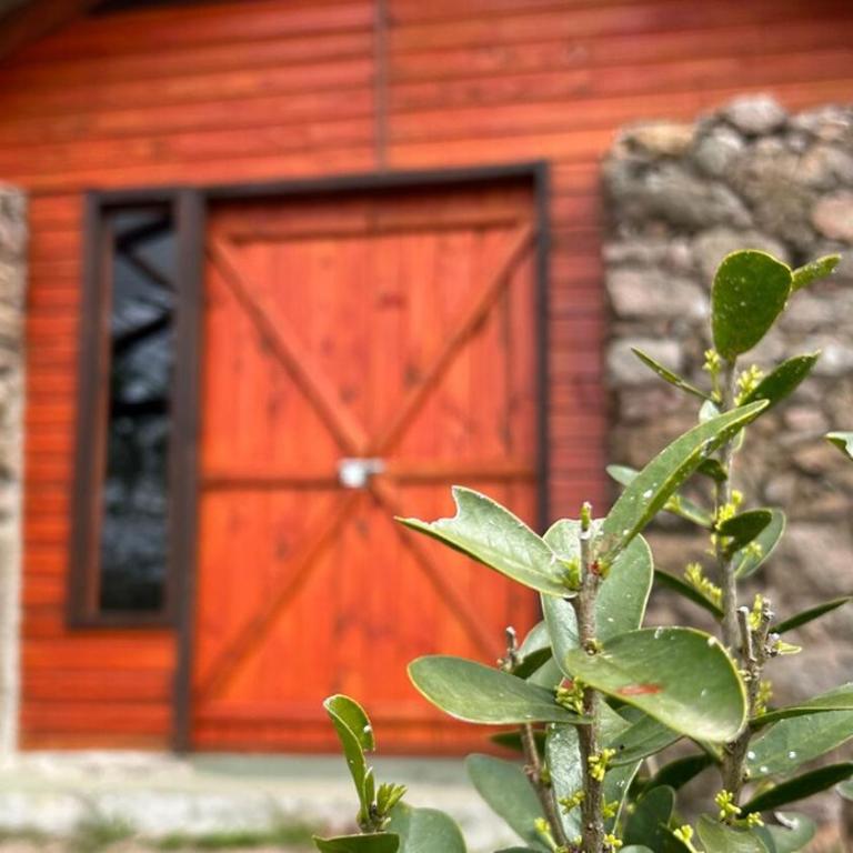 Casa Gaucho hospedate en una reserva natural - Chalet - 14