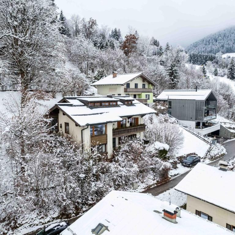 LAKE VIEW! Chalet Birkmayer by we rent - Chalet - 47