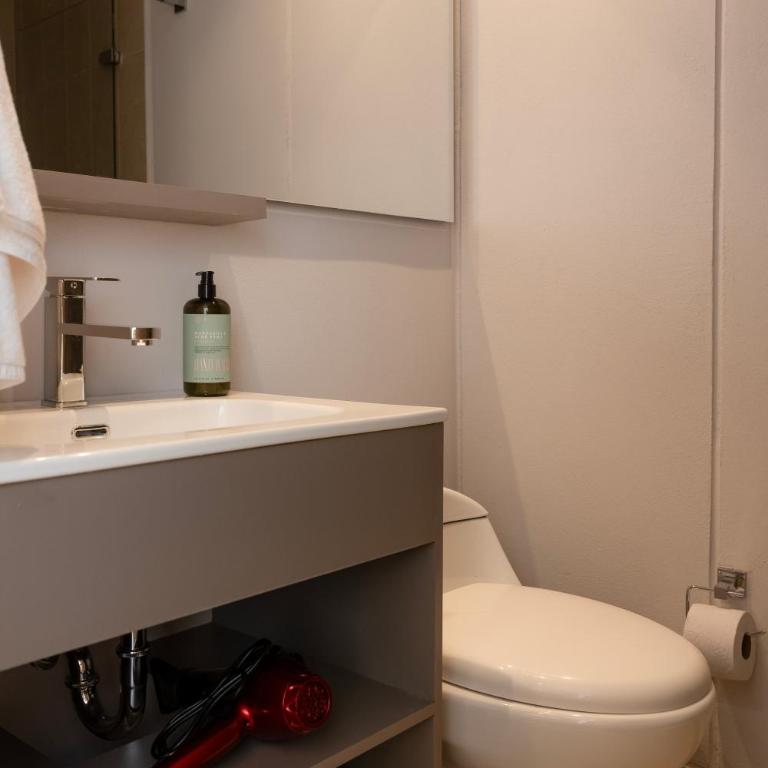 Apartaestudio en la Castellana - Apartamento de 1 dormitorio - 5