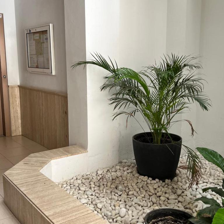 Azahara Apartamento - Apartamento de 2 dormitorios - 6