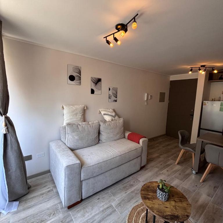 1 D Boutique next to Parque Almagro - One-Bedroom Apartment - 3