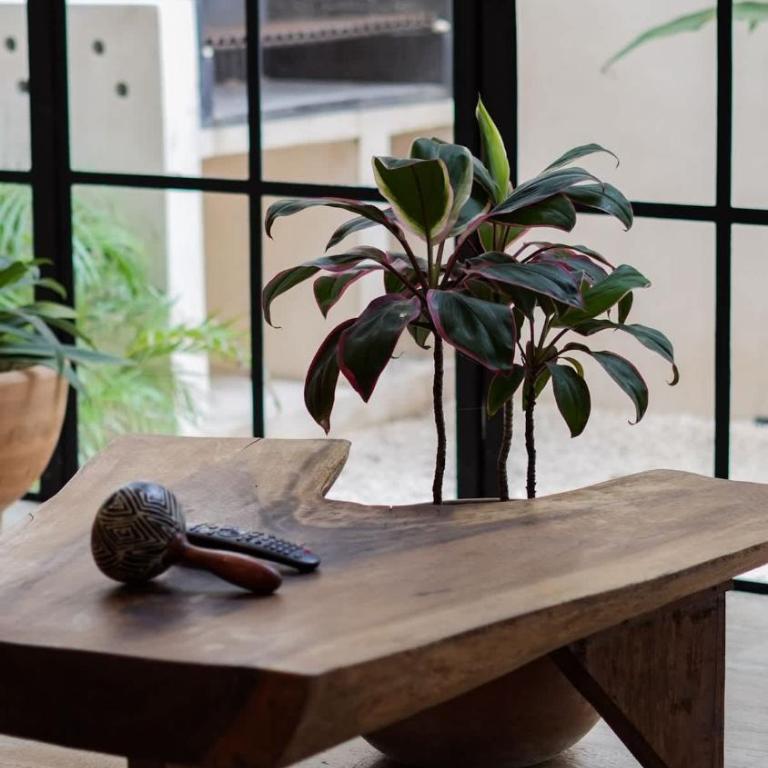 Bohemian 2BR Boutique Condo in Trendy La Veleta - Apartamento de 2 dormitorios con piscina privada - 12