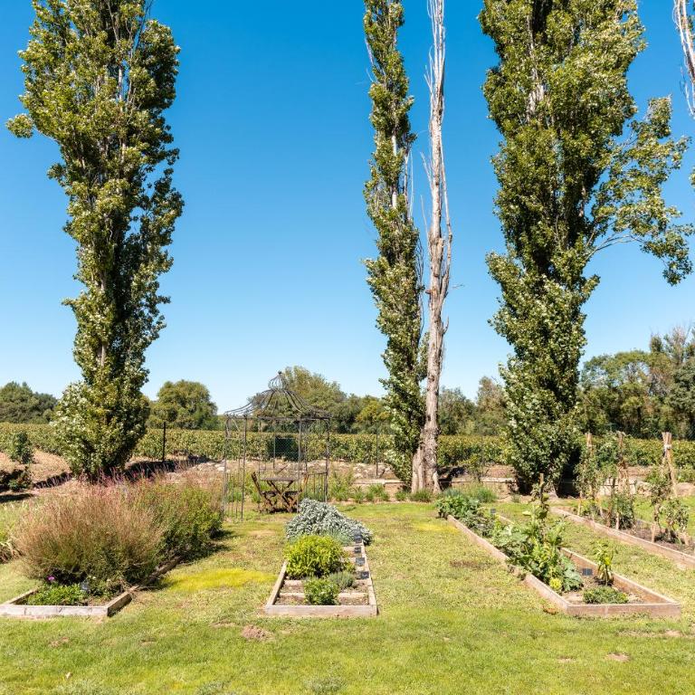 La Mouline sublime domaine privatif avec piscine à Pézenas - Maison 5 Chambres - 69