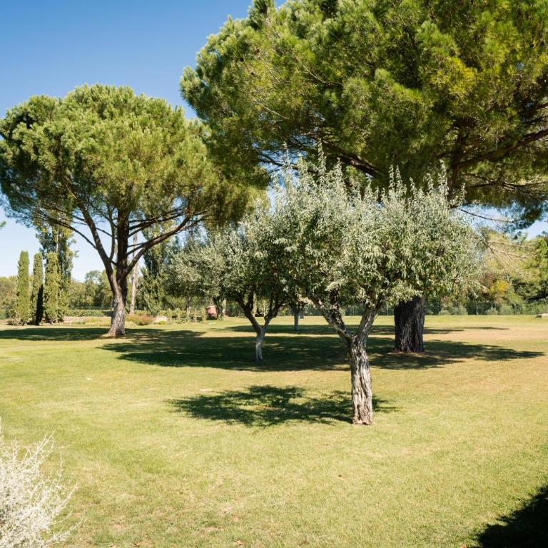 La Mouline sublime domaine privatif avec piscine à Pézenas - Maison 5 Chambres - 71