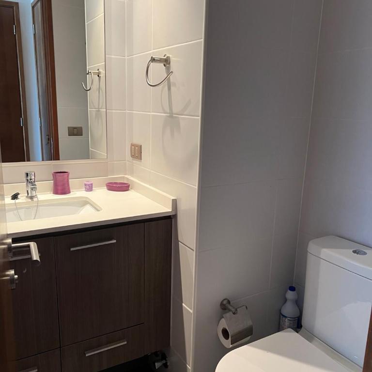 Viña del Mar Department - Two-Bedroom Apartment - 14