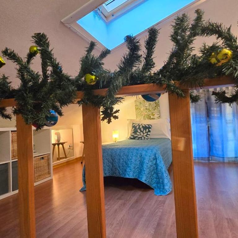 Appartamento Tortuga - Appartamento con 2 Camere da Letto - 57