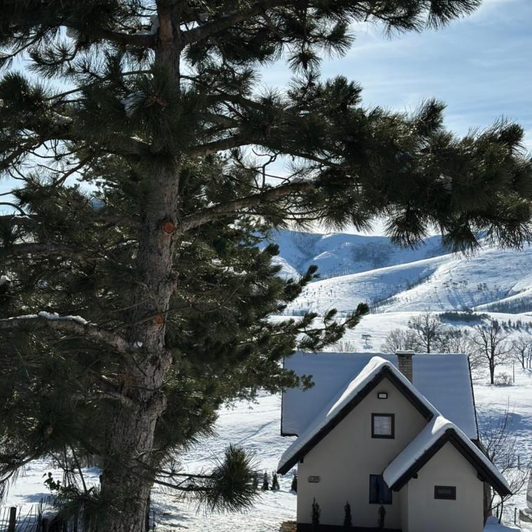 Vila Golden Queen Zlatibor - One-Bedroom House - 12