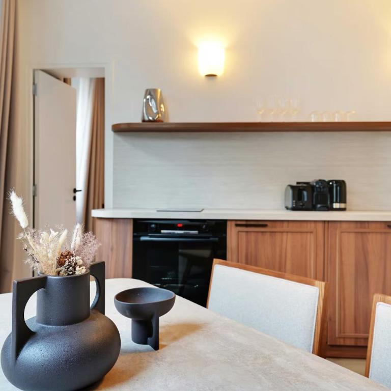 Appartements Ramey - Appartement 1 Chambre Deluxe - 3