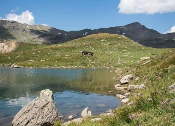 Studio cabine au cœur de la montagne - Valfréjus - Apartamento de 1 dormitorio - 50