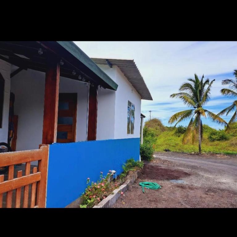MAEN k - One-Bedroom Apartment - 1