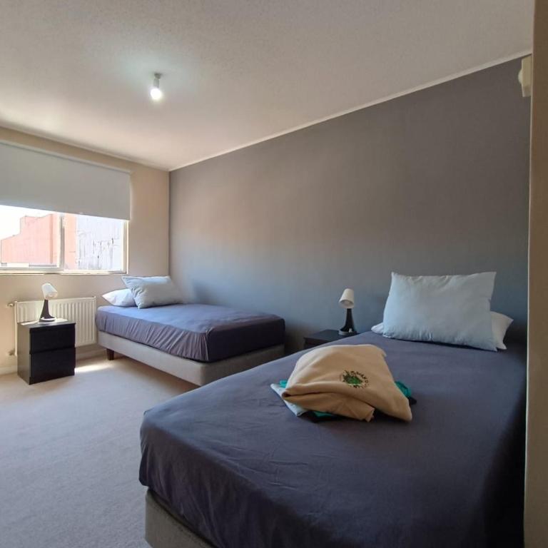 Campus Life - One-Bedroom Apartment - 5