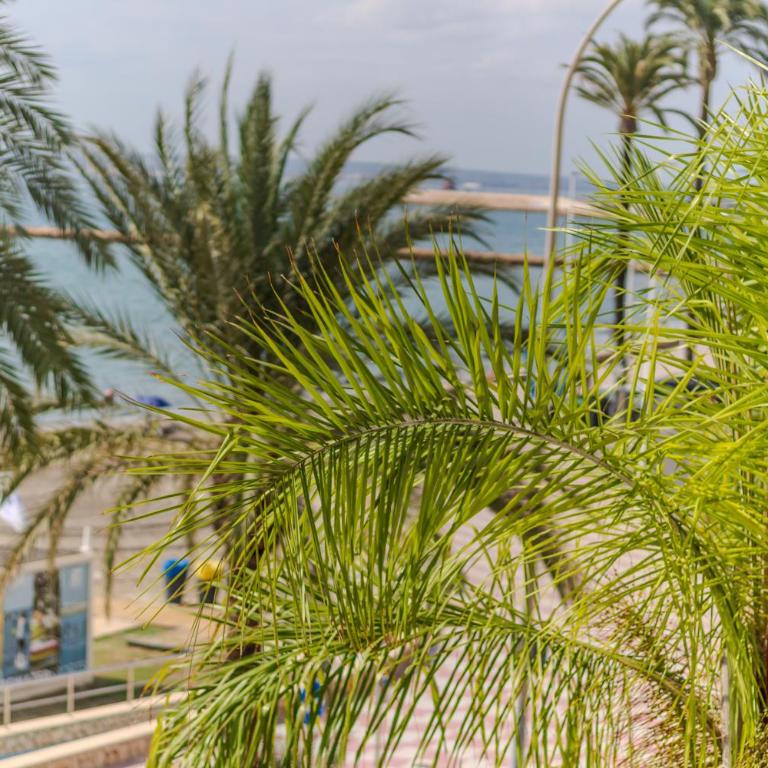 Primera línea de playa - Media estancia 11 días - Apartamento de 3 dormitorios - 16