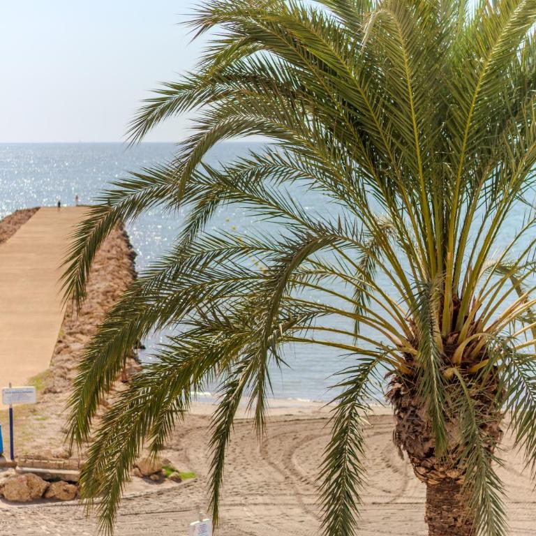 Primera línea de playa - Media estancia 11 días - Apartamento de 3 dormitorios - 25