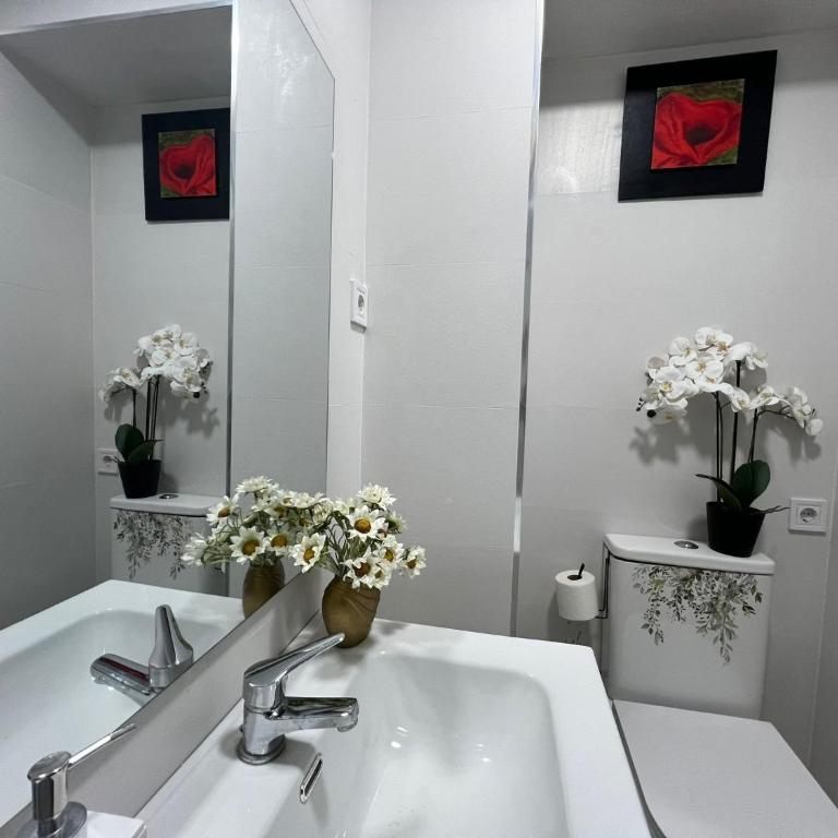 Ventas 2, Apartamento con encanto - Apartamento de 1 dormitorio - 20