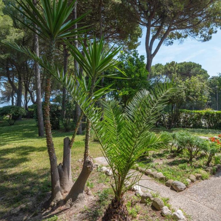 Villa Scultura Seaview - Villa - 17