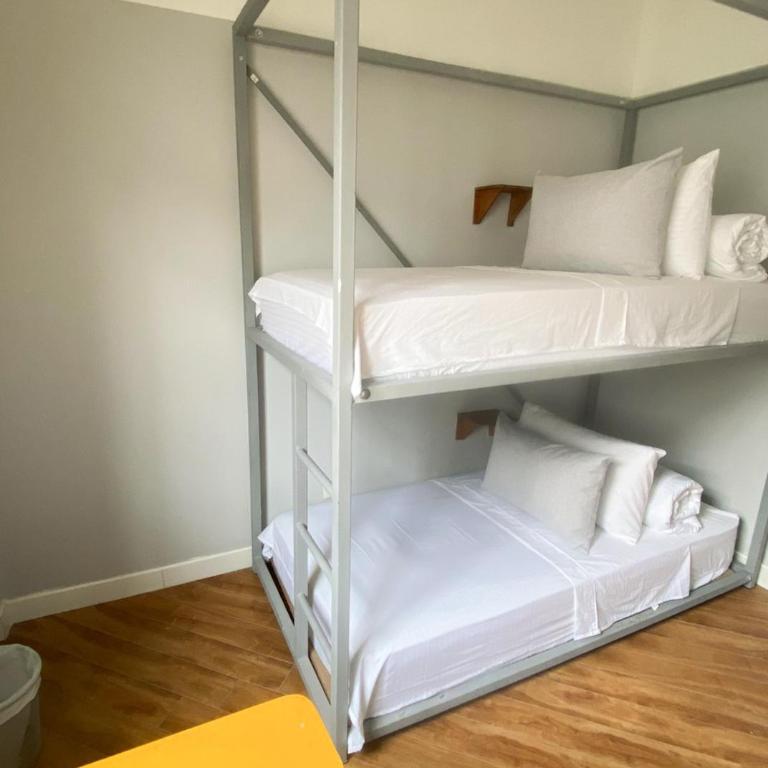 Marietta - House of Social Travellers - Habitación Estándar con baño compartido - 2 camas - 4