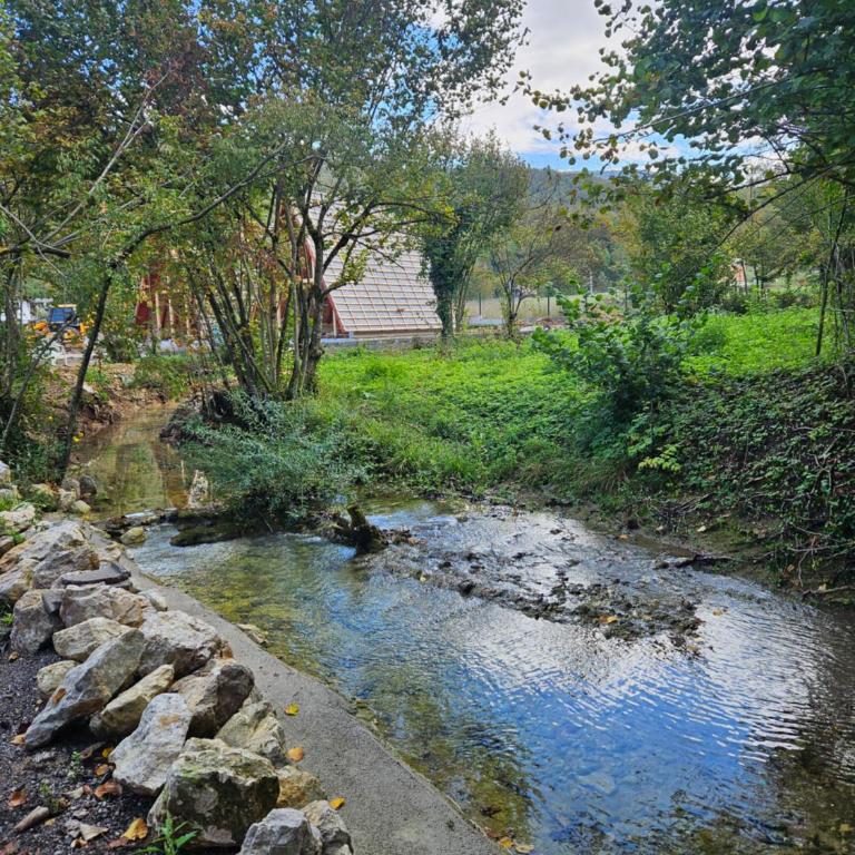 Golden Spa Villa - Vila sa Sopstvenim Bazenom - 2