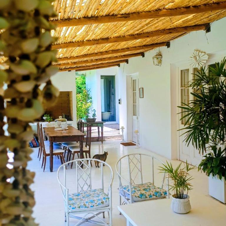 Casa Medicina - Casa con 1 dormitorio - 13