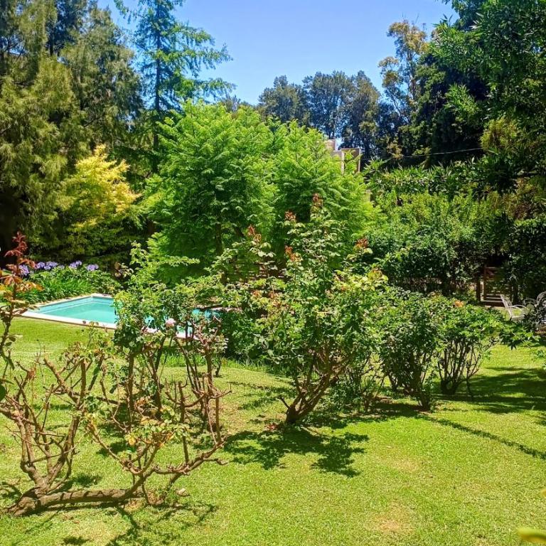 Casa Medicina - Casa con 1 dormitorio - 23