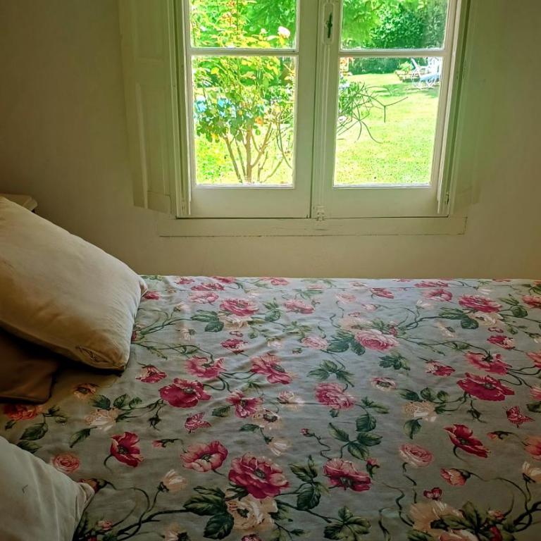 Casa Medicina - Casa con 1 dormitorio - 31