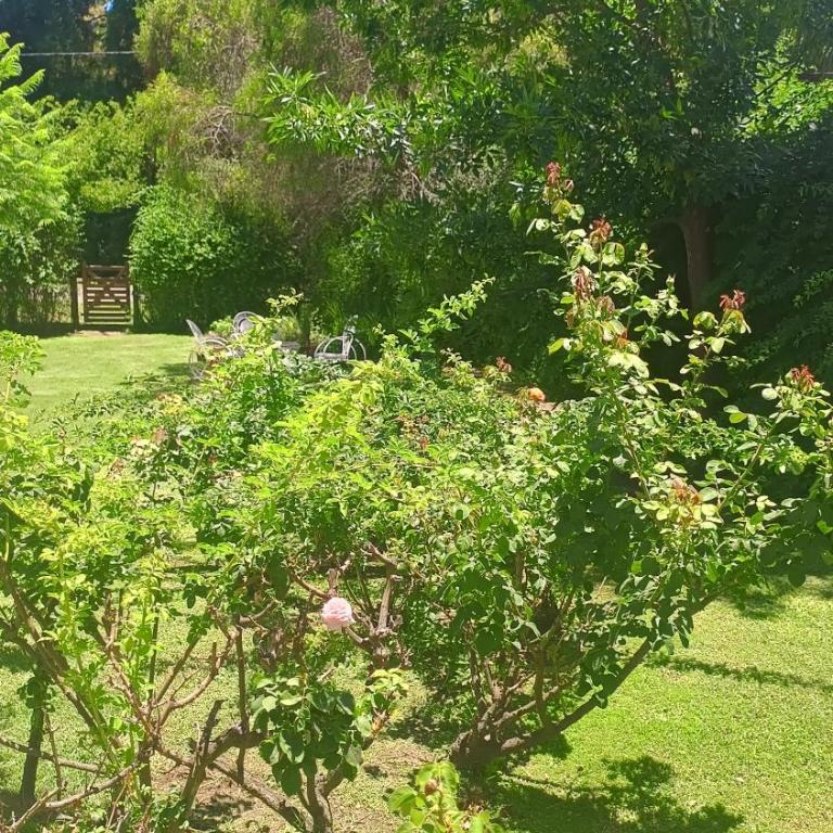 Casa Medicina - Casa con 1 dormitorio - 42