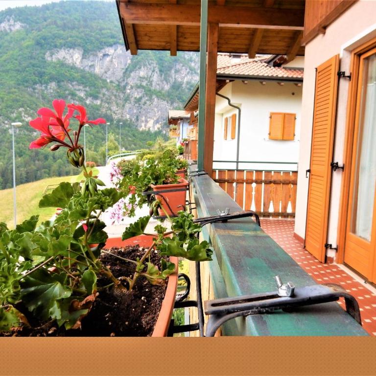 Villa Primula - Apartment mit 3 Schlafzimmern - 25