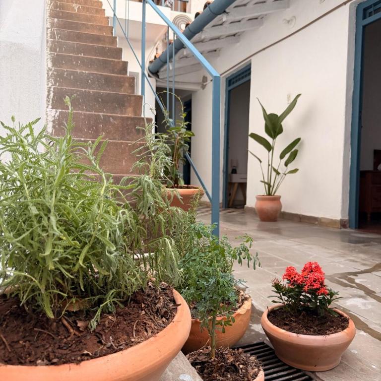 Casa para 6 a pasos de la Plaza Italia con terraza y privacidad - Casa de 4 dormitorios - 11