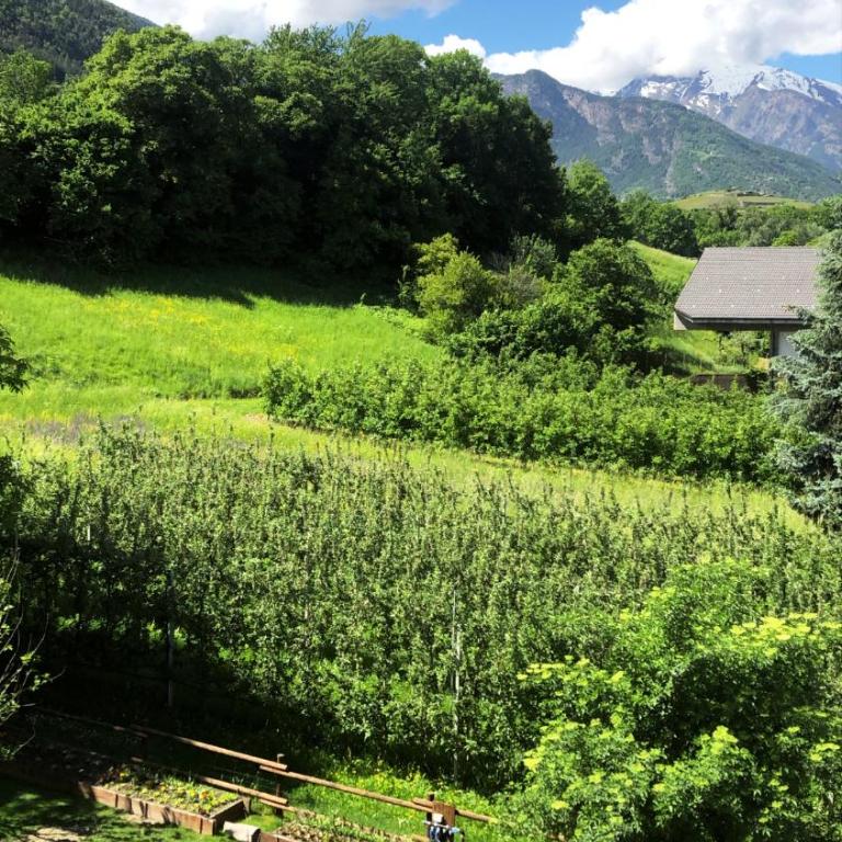 Le Parfum du Sel - Suite con Vista Montagna - 9