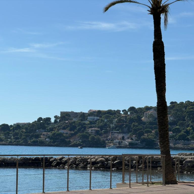 Alex Studio - Parking - 2 minutes de la plage - Terrasse Plein Soleil et Sud - Studio - 1
