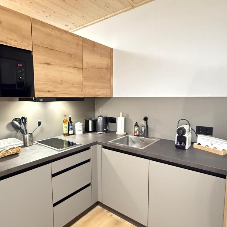Timber Studio - Schladming - Studio-Apartment - 3