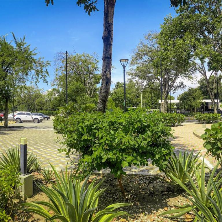 Amazing Apartment 2Bed 2Bath Bello Horizonte - Two-Bedroom Apartment - 65