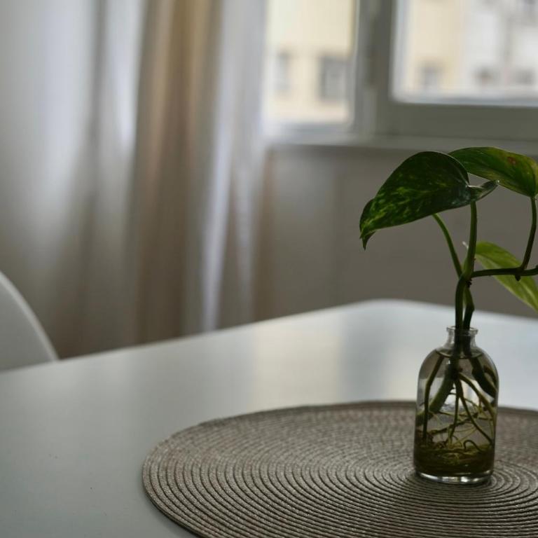Playa, Casino y Güemes a metros, Tu estadía ideal - Apartamento de 1 dormitorio - 3