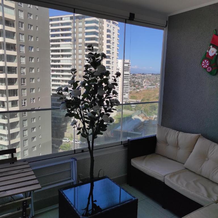 Sunset Arena Concón - One-Bedroom Apartment with Sea View and Balcony - 14