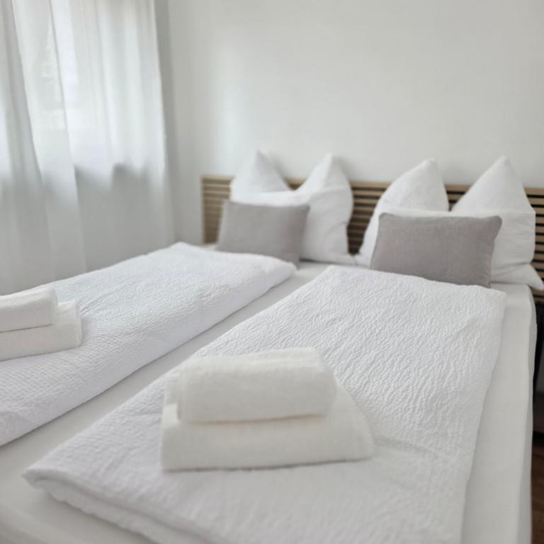 Zentrale Wohnung, nähe Innenstadt - Apartment mit 1 Schlafzimmer - 1