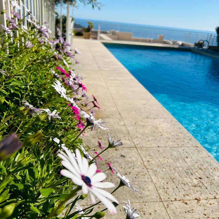 - Casa ATI - - Appartement 2 Chambres - 7