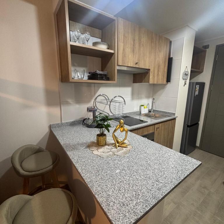 Depa Stgo a pasos de La Teletón - One-Bedroom Apartment - 1