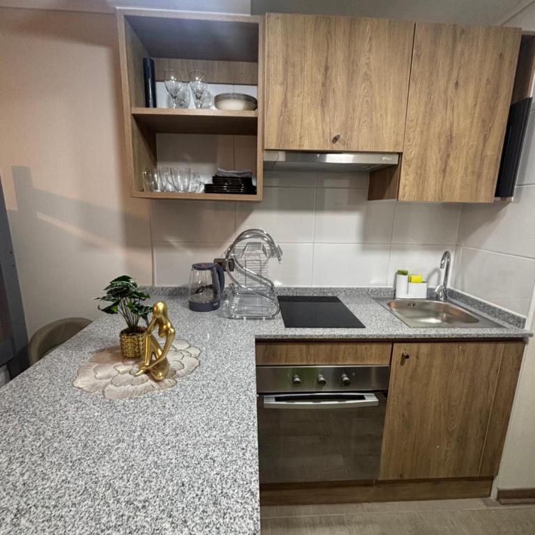 Depa Stgo a pasos de La Teletón - One-Bedroom Apartment - 4