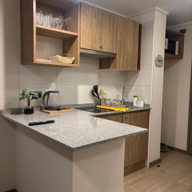 Depa Stgo a pasos de La Teletón - One-Bedroom Apartment - 15