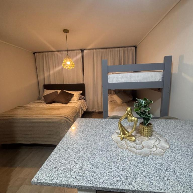 Depa Stgo a pasos de La Teletón - One-Bedroom Apartment - 17