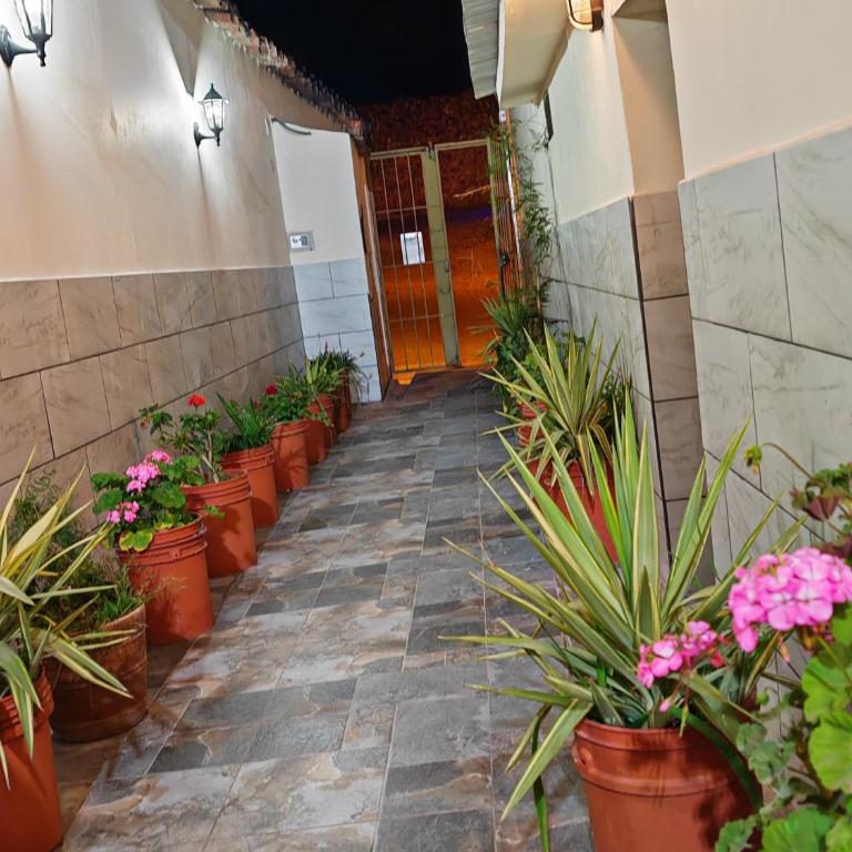 Centro Cusco Inti - Apartamento - 11