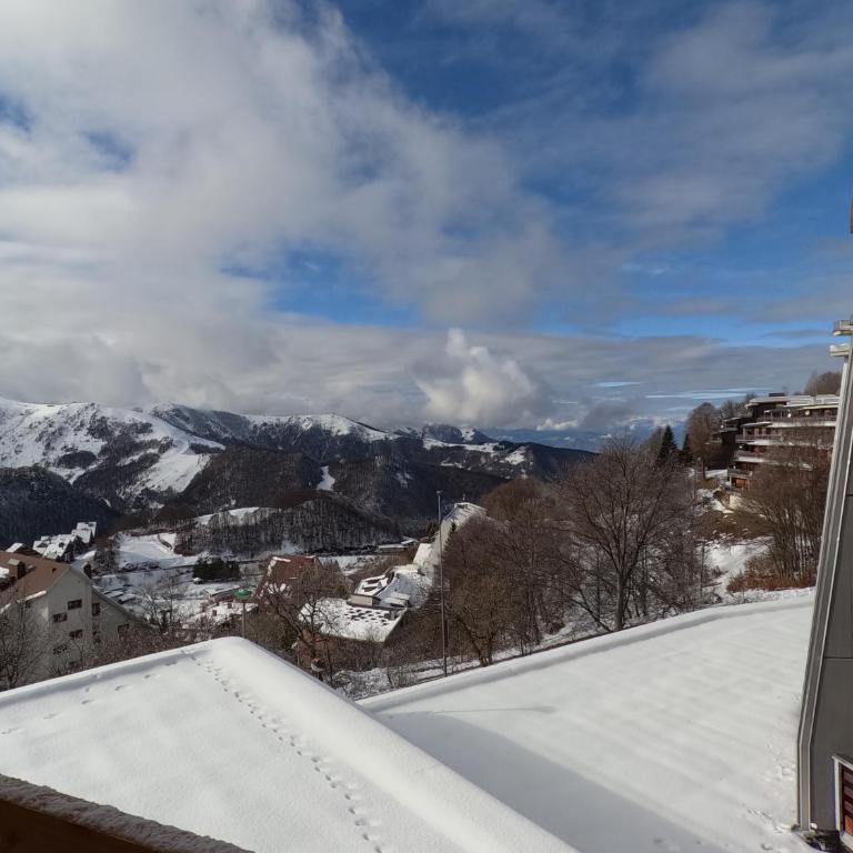 Stella Alpina Apartment - Prato nevoso - Appartamento con 1 Camera da Letto - 26