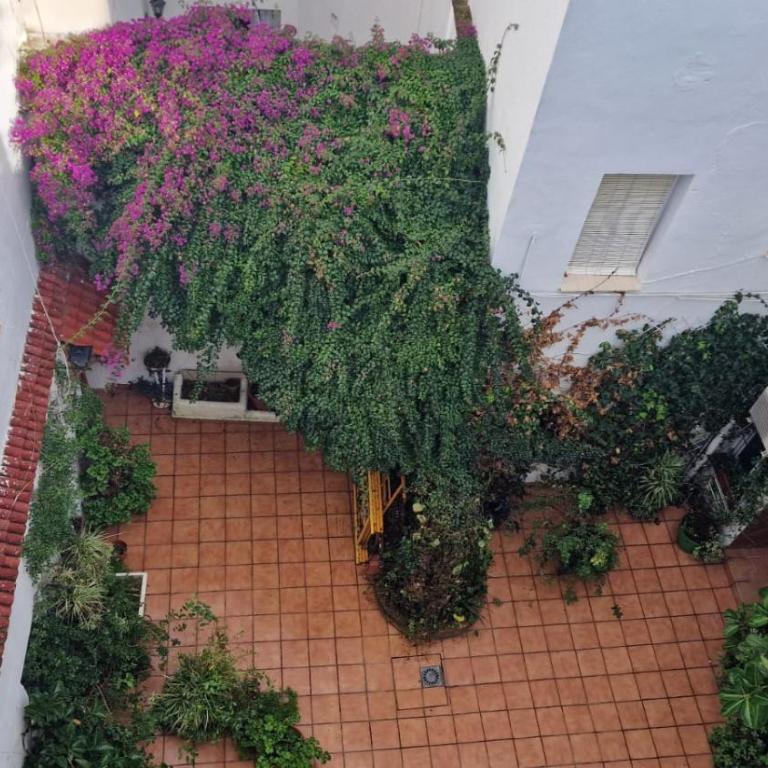 mi pequeño retiro - Apartamento de 1 dormitorio - 63