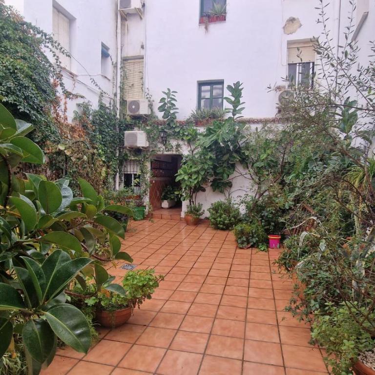 mi pequeño retiro - Apartamento de 1 dormitorio - 65