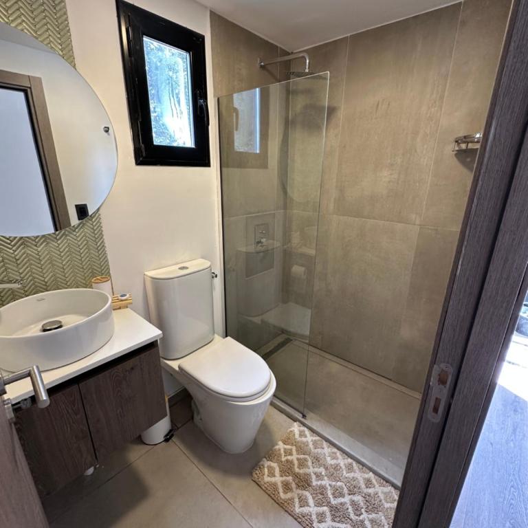 Nina apart Meliquina - Casa con 1 dormitorio - 12
