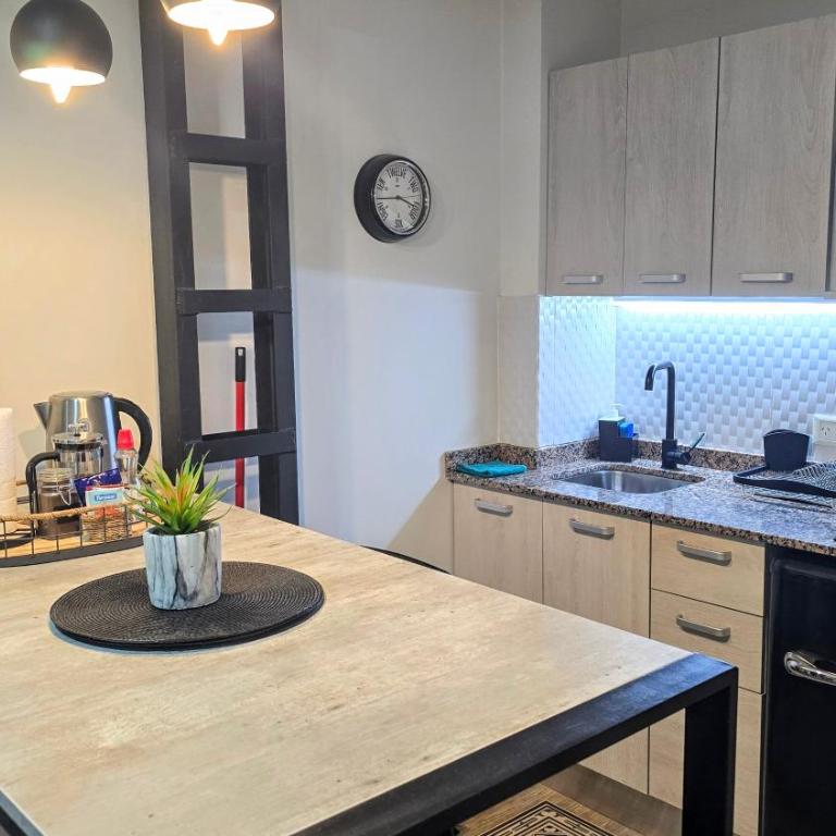 STUDIO EN EL CENTRO, 3 cuadras del centro cívico - Apartamento de 1 dormitorio - 5