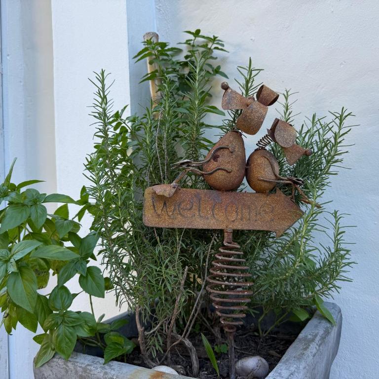 La Mandrágora - Casa Quinta - Two-Bedroom House - 41