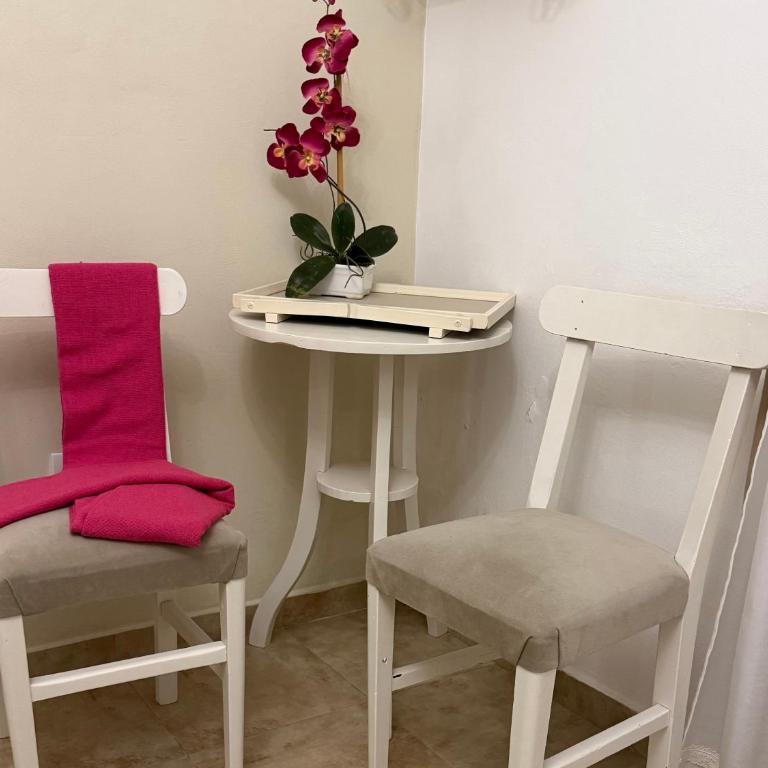 La Mandrágora - Casa Quinta - Two-Bedroom House - 39
