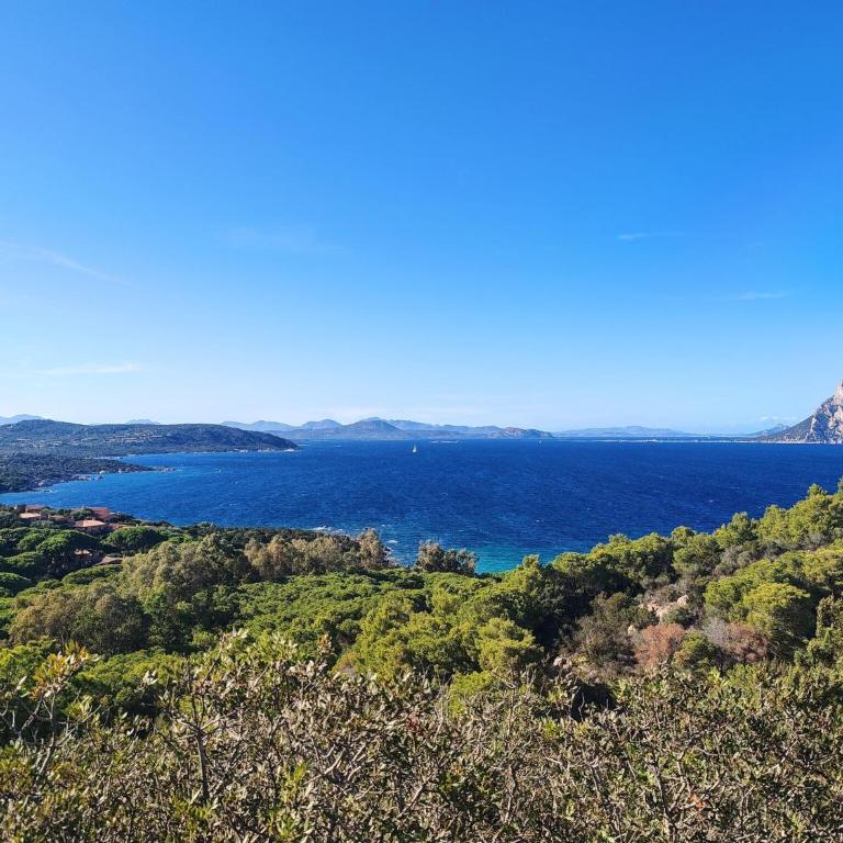 Apartment with a sea-view terrace - Appartamento con 2 Camere da Letto - 26
